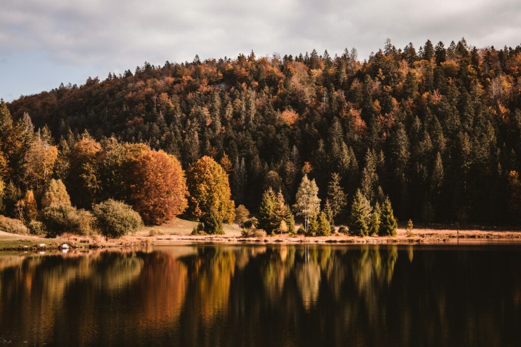 Où trouver les plus beaux points de vue du Jura ?